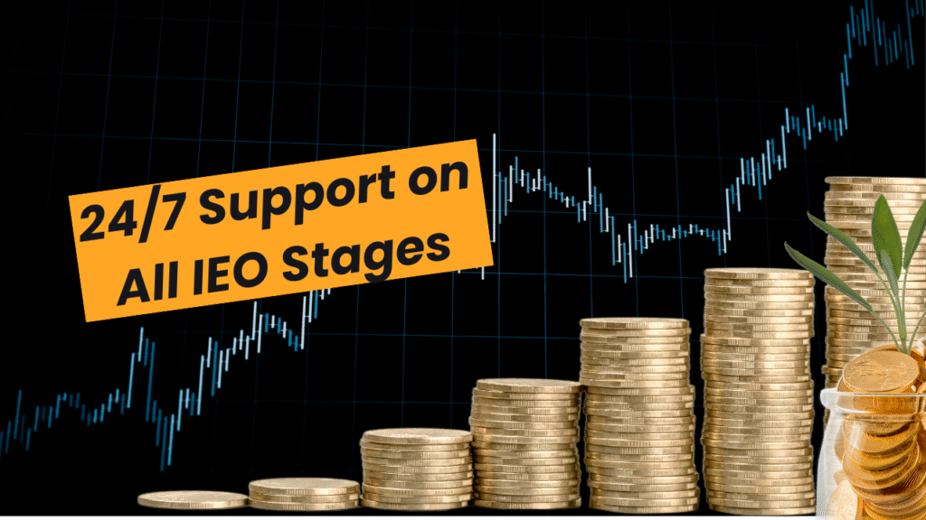 24/7 Support on All IEO Stages